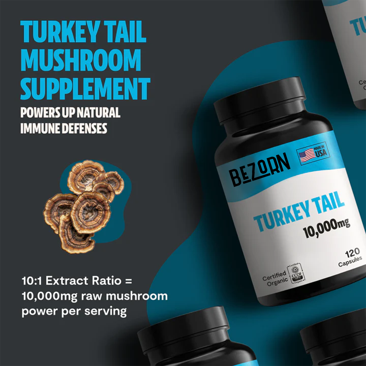 BEZORN® Turkey Tail Mushroom Extract Capsules