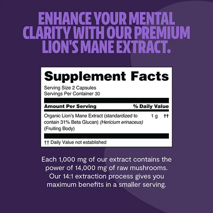 Lion's Mane Mushroom Extract Capsules